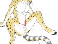 cheetahporn.jpg